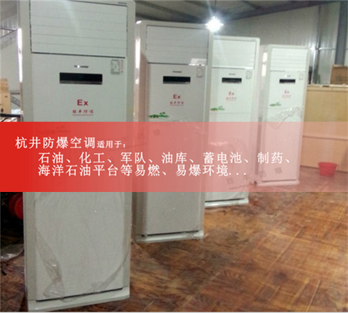 電廠防爆空調(diào)機案例圖